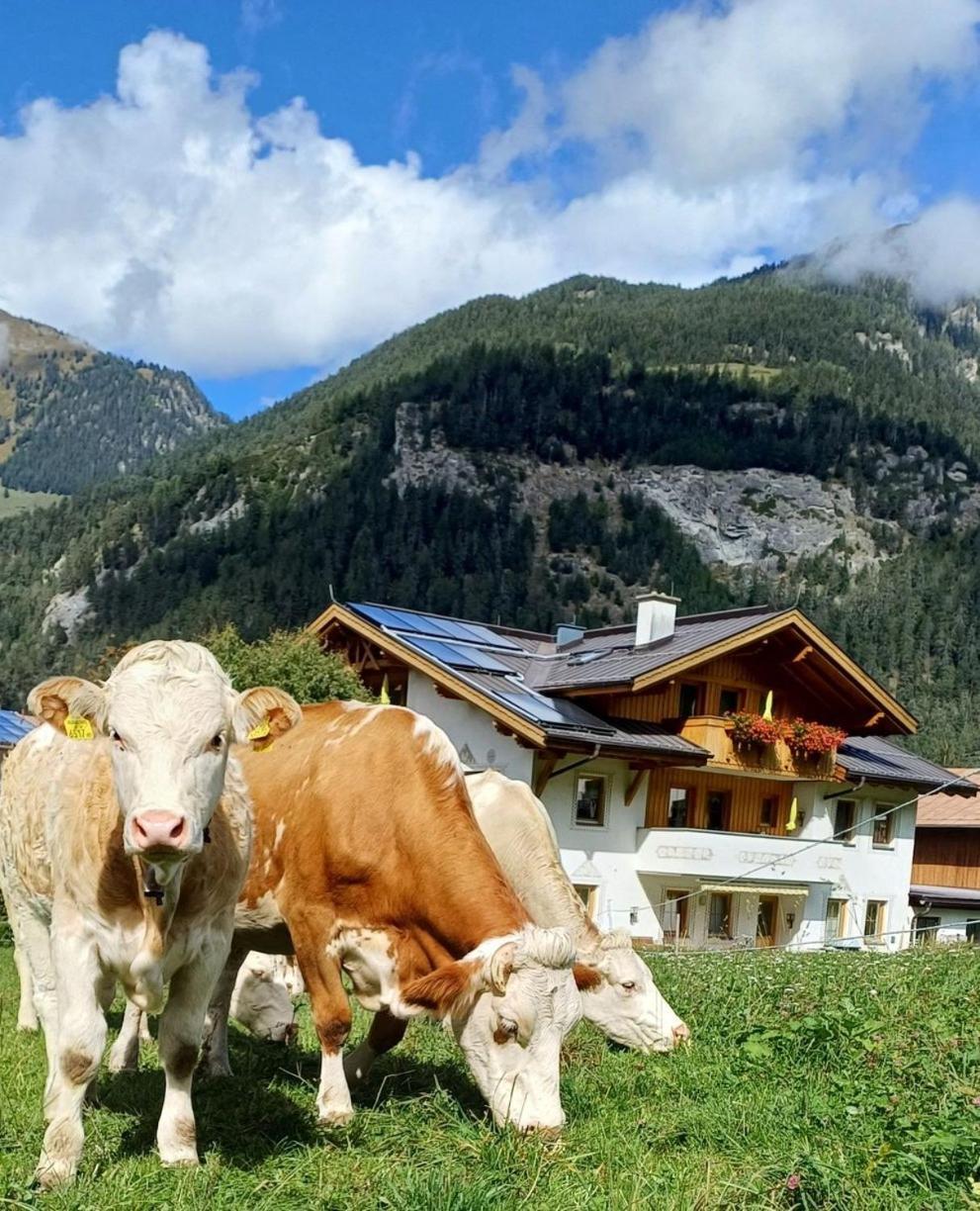 Schoene Aussicht Bed & Breakfast Pfunds
